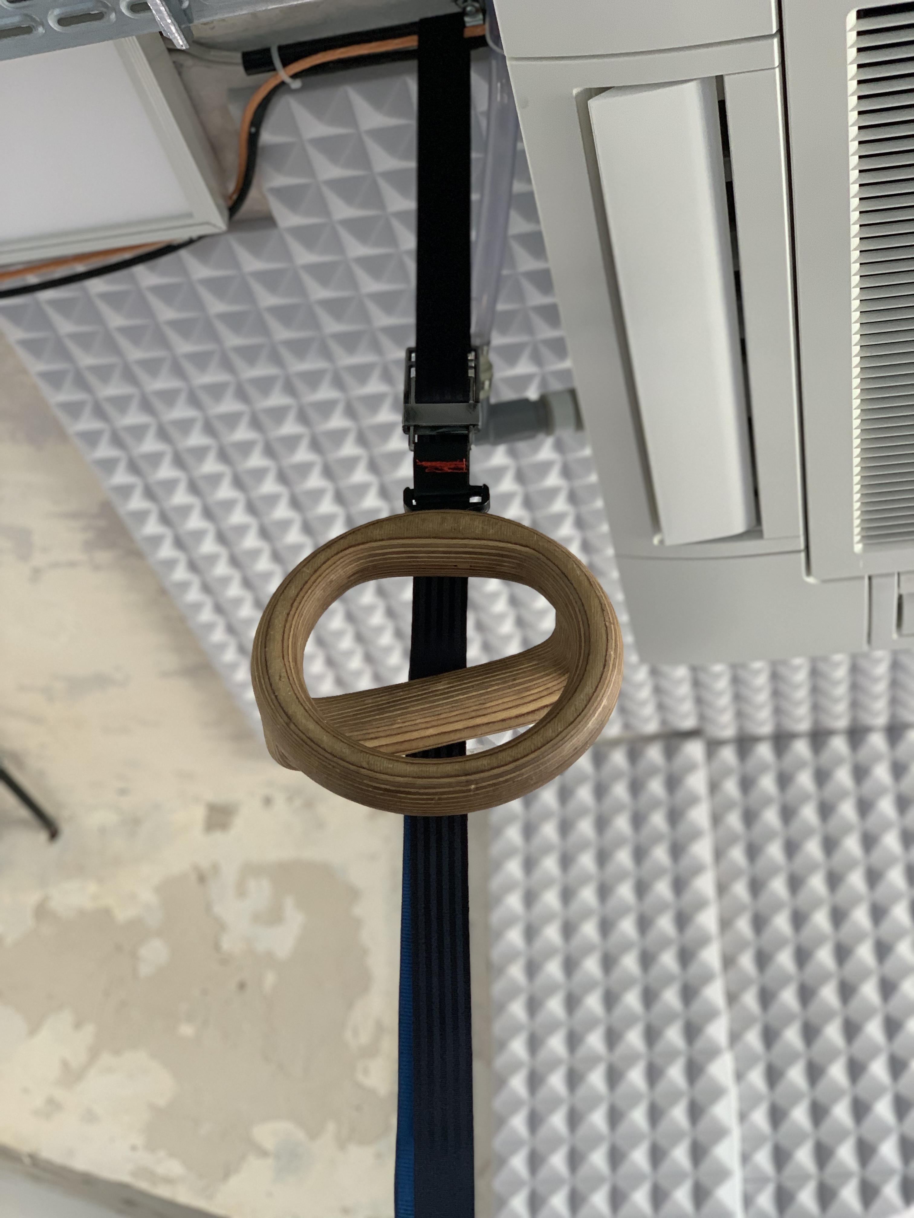 Caliring - 2-in-1 Calisthenics Equipment