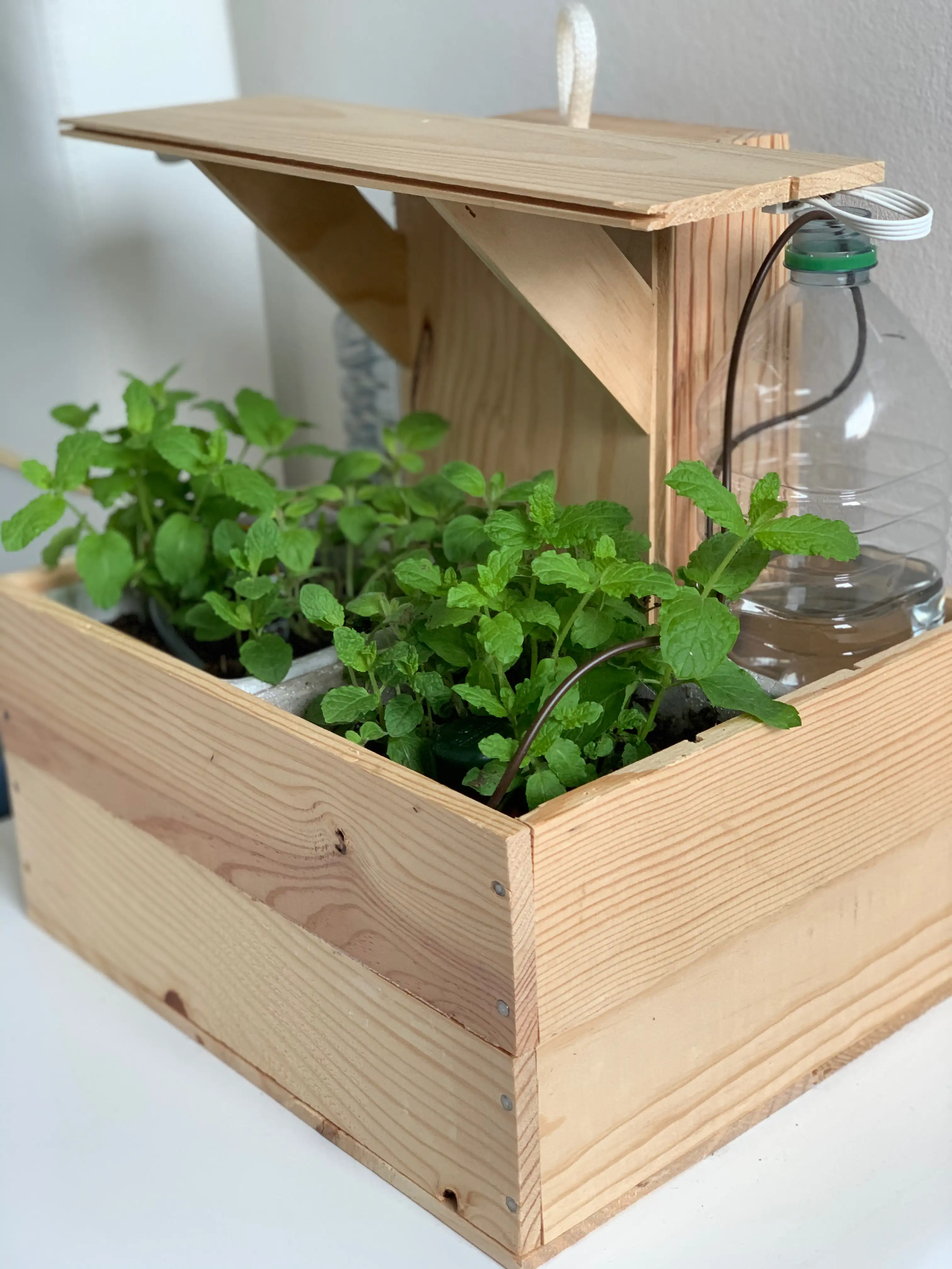 HerbBox – Automated Indoor Farming